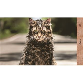 Les chats de A à Z