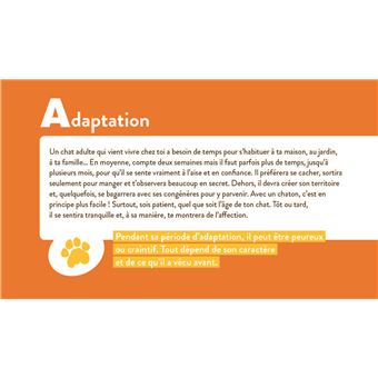 Les chats de A à Z
