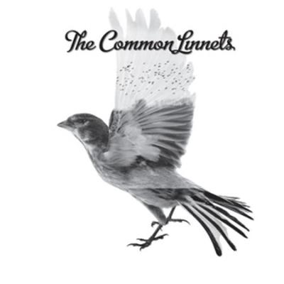 The Common Linnets Vinyle 180 gr