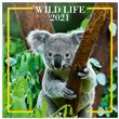 Calendrier 2021 30x30 Wildlife