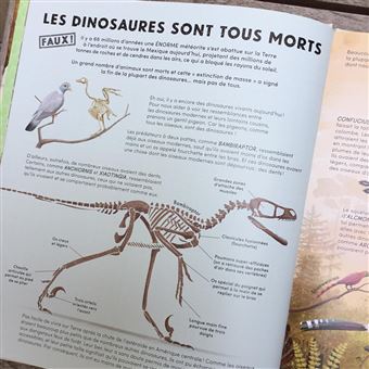 Tout ce que vous pensez savoir sur les dinosaures est faux !