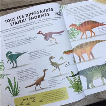 Tout ce que vous pensez savoir sur les dinosaures est faux !