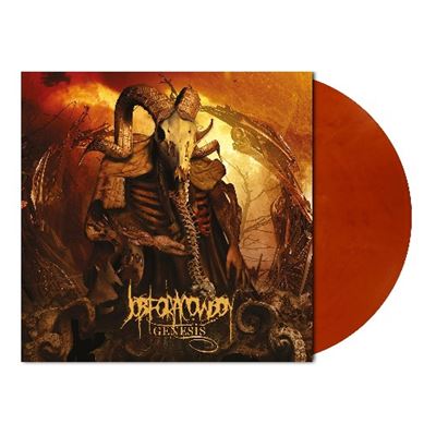 Genesis Vinyle orange et marron