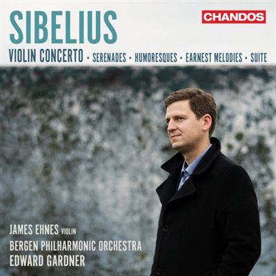 Works For Violin And Orchestra