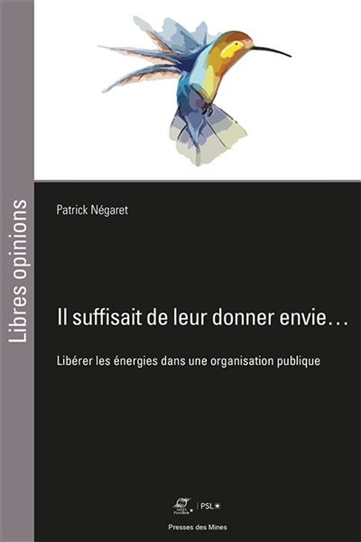 Il suffisait de leur donner envie... - Patrick Négaret - broché