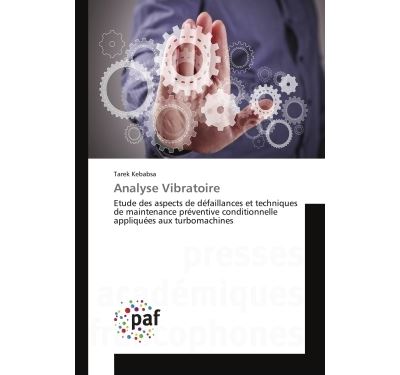 Analyse vibratoire - etude des aspects de defaillances et te