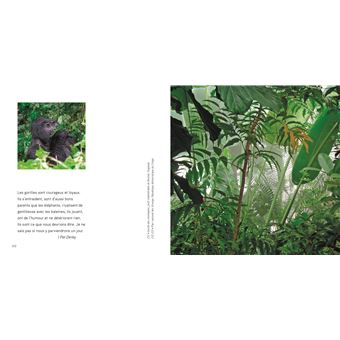 La Terre - Un monde à préserver