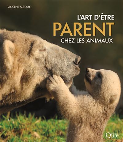 L'art d'etre parent chez les animaux