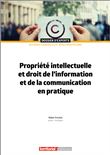 Propriété intellectuelle et droit de l'information appliqués aux collectivités locales