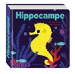 Hippocampe