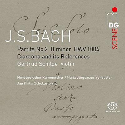Partita 2 bwv 1004/ciaccona and its references