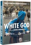 White God - film 2014 - AlloCiné