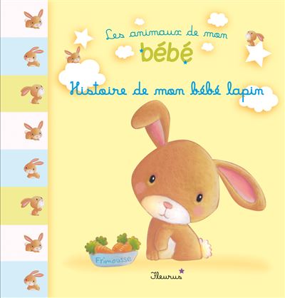 Histoire De Mon Bebe Lapin Cartonne Benedicte Carboneill Elen Lescoat Achat Livre Fnac