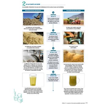 CAP Pâtissier 1/2 Guide de Référence - 2022