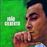 Joao Gilberto - Vinilo