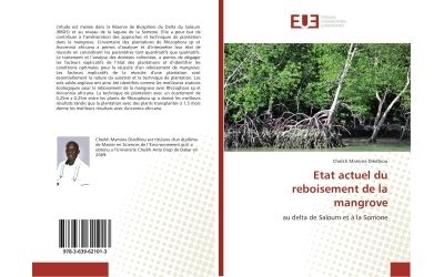 Etat actuel du reboisement de la mangrove - au delta de salo