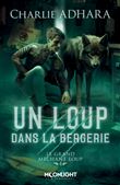 Un loup dans la bergerie