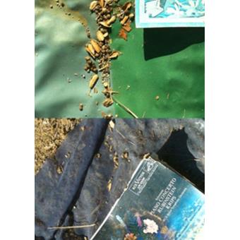 Sam Falls - The Four Seasons Forever - 1