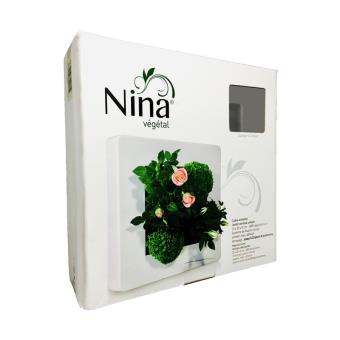 Cadre à faire soi-même Nina Végétal Jardin vertical urbain Gris taupe - 1