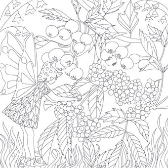 Petits peuples des forêts