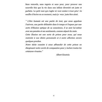 Autobiographie de l'auteur sur le chemin de Saint Jacques de Compostelle