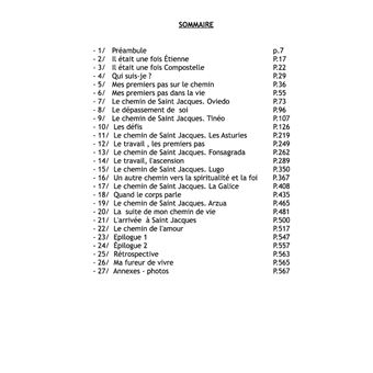 Autobiographie de l'auteur sur le chemin de Saint Jacques de Compostelle