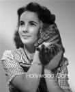 Hollywood cats : photographs from the John Kobal Foundation