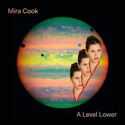 A level lower/vinyle couleur