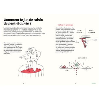Le vin naturel - Comprendre, choisir, déguster