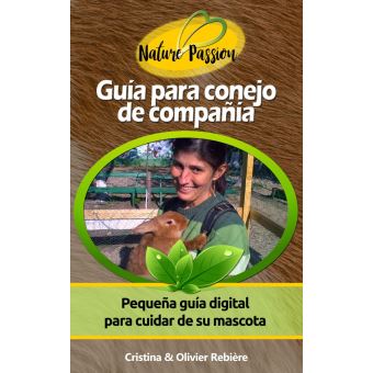 Nuestros consejos para comprar el mejor Cuenta todos los de 12222