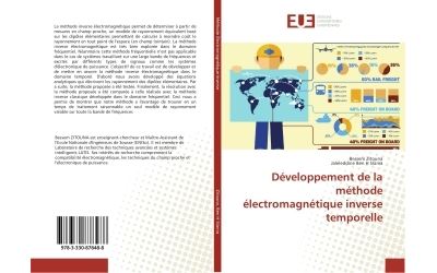 Développement de la méthode électromagnétique inverse temporelle