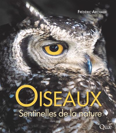 Oiseaux sentinelles de la nature
