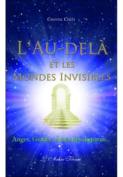 L'Au-delà et les mondes invisibles - Chantal Costa - broché