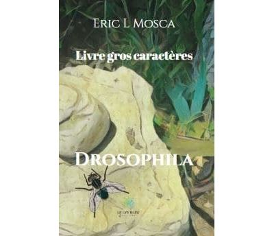 Drosophila - Gros caractères