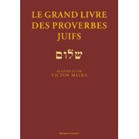 Le Grand Livre Des Proverbes De L Inde Relie Patrice Serres Jean Remy Achat Livre Fnac