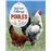Poules, tout savoir sur l'élevage_0