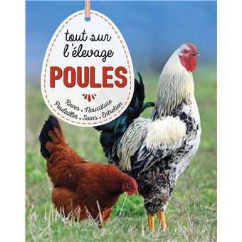 Poules, tout savoir sur l'élevage
