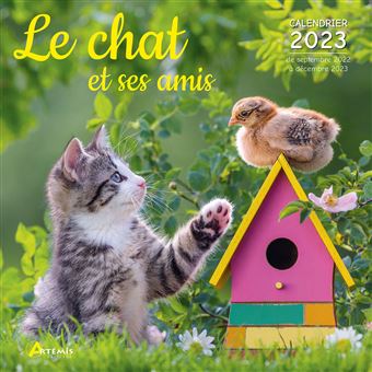 Calendrier Lunaire Sortie Animaux 2023 Calendrier Le Chat Et Ses Amis 2023 - Dernier Livre De Collectif -  Précommande & Date De Sortie | Fnac