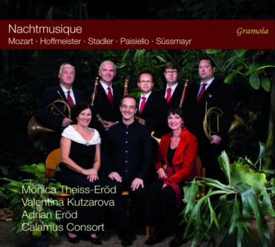 Nachtmusique/une soiree musicale chez les jacquin