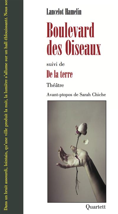 Boulevard des oiseaux
