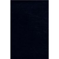 Musicologie médiévale