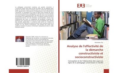 Analyse de l'effectivite de la demarche constructiviste et s