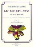 Les champignons des Alpes-Maritimes