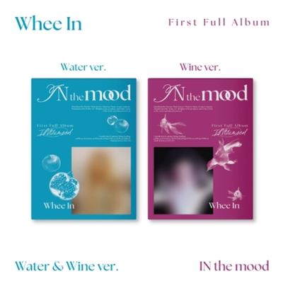 In The Mood - Photobook Version