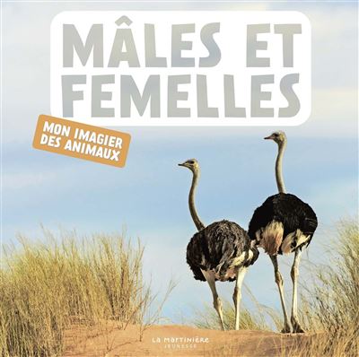 Mâles et femelles -  Naturagency - cartonné