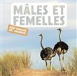 Mâles et femelles