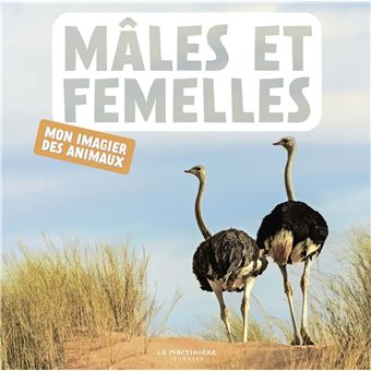 Mâles et femelles