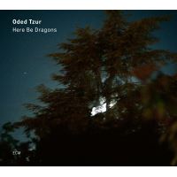 Here Be Dragons - CD