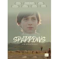 Sparrows
