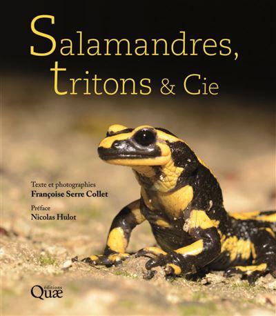 Salamandres tritons et cie